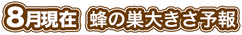 8月現在 蜂の巣大きさ予報