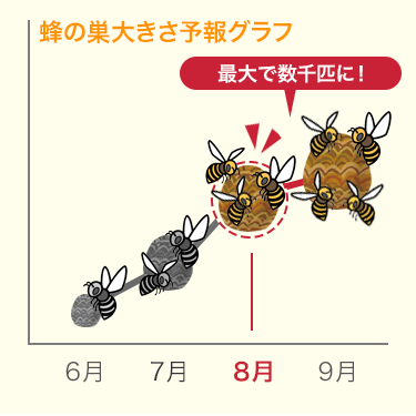 蜂の大きさ予報グラフ