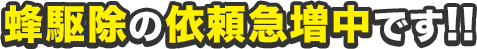 蜂駆除の依頼急増中です!!