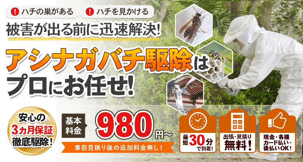 アシナガバチの駆除なら ハチバスターズにおまかせ！