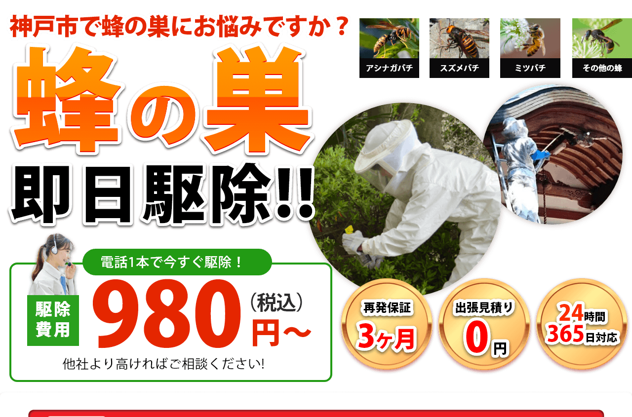 ハチ駆除ならハチバスターズにおまかせ！