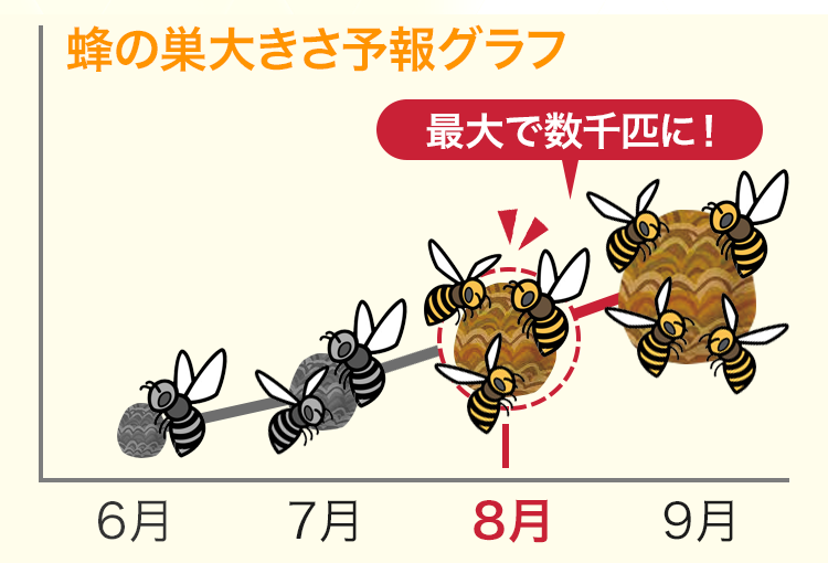 蜂の大きさ予報グラフ