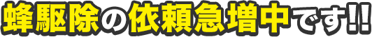 蜂駆除の依頼急増中です!!