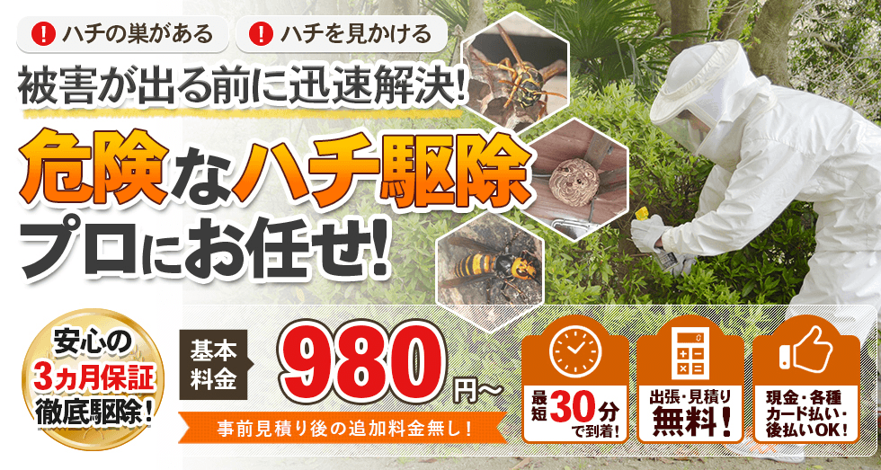 ハチ駆除ならハチバスターズにおまかせ！
