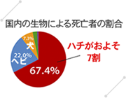 スズメバチの危険性